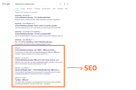seo en sea