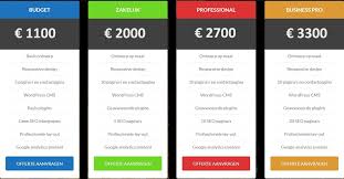 website laten bouwen kosten