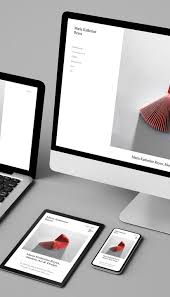 e commerce website laten maken